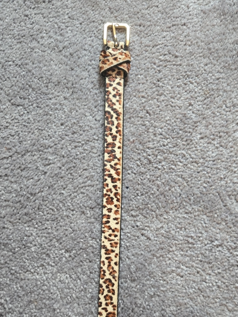Talbots Leopard Print Skinny Belt with Gold Buckle